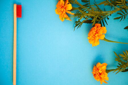 Eco bamboo organic toothbrush on a blue colored bristles background.の写真素材