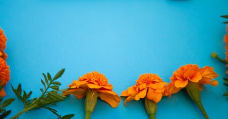 Eco bamboo organic toothbrush on a blue colored bristles background.の写真素材