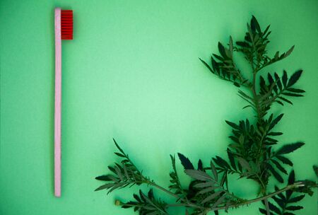 eco bamboo toothbrushes, concept of ecological lifestyle, place for text.の写真素材