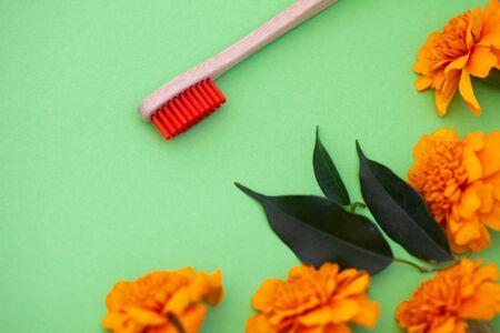 eco bamboo toothbrushes, concept of ecological lifestyle.の写真素材