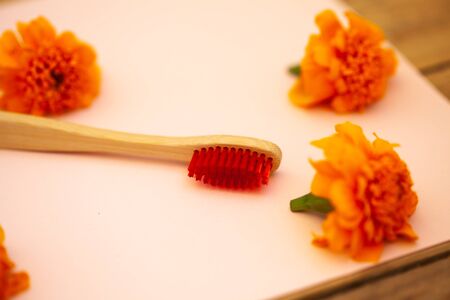 eco bamboo toothbrushes, concept of ecological lifestyle.の写真素材