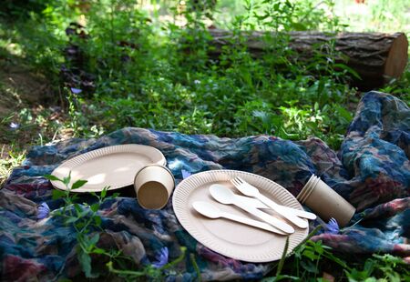 disposable paper dishes in nature in the parkの写真素材