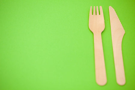 disposable tableware, cardboard tableware, paper tableware, space for text, view from the top. Save...