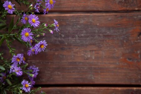 colorful maple leaves on a wooden table. copy spacesの写真素材