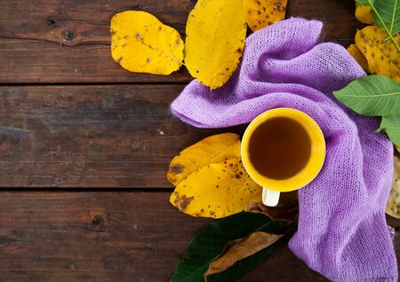 Cup of tea near a scarf making makeup, top view. A cup of green tea near beautiful yellow leaves. Hot drink on wooden background. Autumn concept of beauty and drinks. autumn.の写真素材