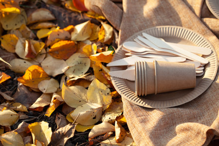 eco paper plate dish fork on old wooden table
