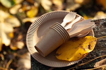 eco paper plate dish fork on old wooden tableの写真素材