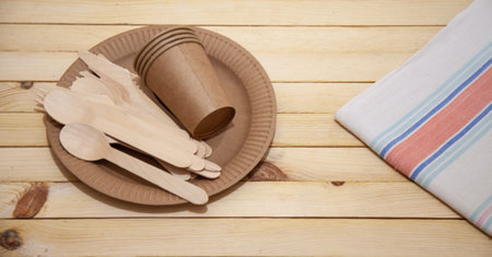 Eco paper plate fork on old wooden table