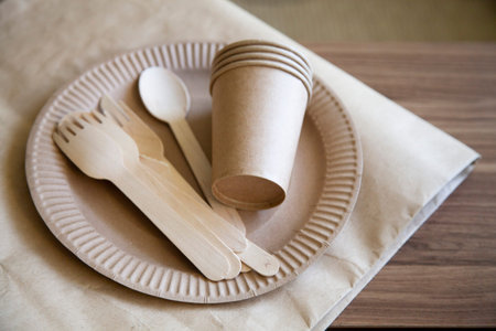disposable eco dishes from paper cardboard spoon fork knife