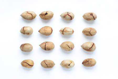Group of pecan nuts isolated on white backgroundの写真素材