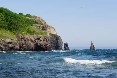 Green trees and meadow rocks near the sea seascapeの写真素材