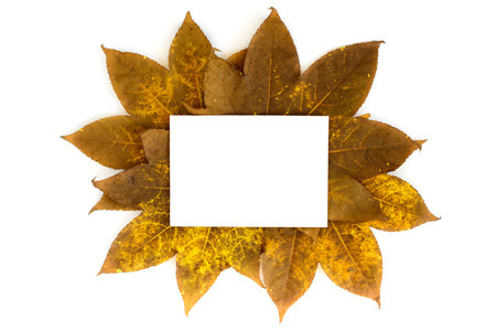 Autumn leaves ornate with white copy space card isolated on white background