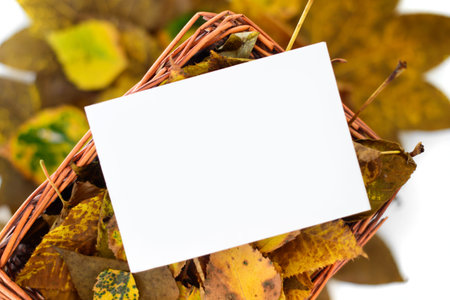 Autumn leaves in straw basket with white copy space card on natural background