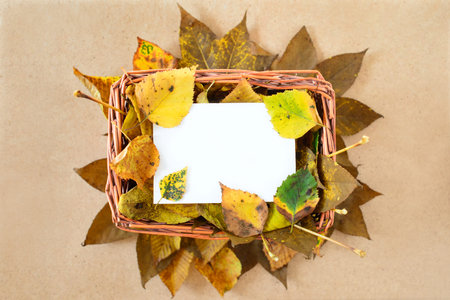 Autumn leaves ornateの写真素材