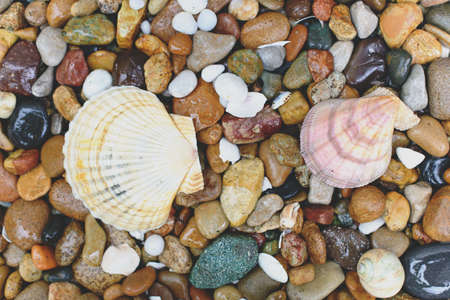 Round sea stones and sea shells textured backgroundの写真素材