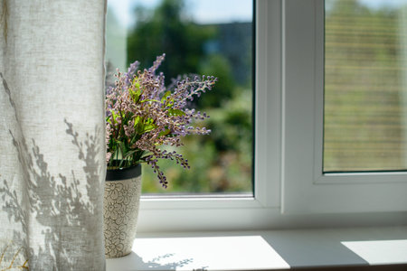 Image of window with a flower in a pot and curtain in the room.の写真素材