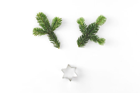 Christmas deer funny face made of fir-tree branches and little star isolated on white. New year celebration concept.の写真素材