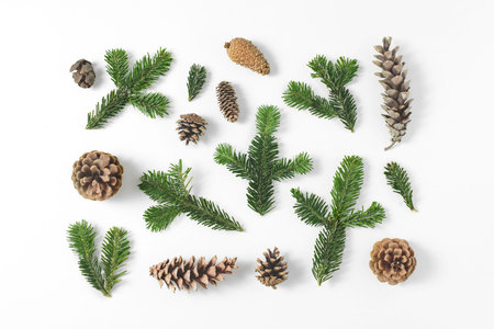 Set of various pine and fir-tree evergreen branches and cones on white background. Natural rustic...