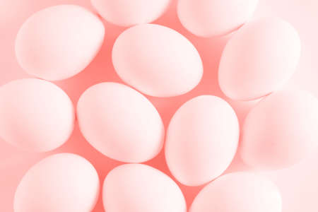 White eggs on a white background. Easter photo concept. Copy space. View from above.の写真素材