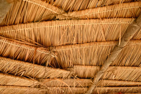 Thatched straw roof. Beach umbrella close up view.の写真素材