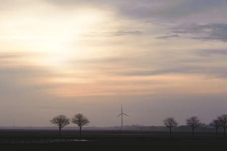 Field with trees and windmills on the horizon in the evening. Typical dutch landscape. North Holland, Hollands Kroon, Netherlands.の写真素材