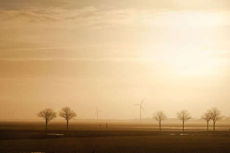 Field with trees and windmills on the horizon in the morning. Typical dutch landscape. North Holland, Hollands Kroon, Netherlands.の写真素材