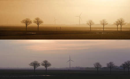 Field with trees and windmills on the horizon in the evening and in the morning. Typical dutch landscape. North Holland, Hollands Kroon, Netherlands. Panoramic view set of two images.の写真素材