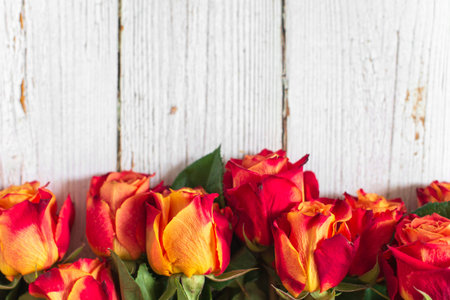 Red and yellow roses on white wooden background. Flat lay, top view, free copy space.の写真素材