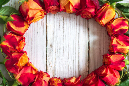 Red and yellow roses in shape of round frame on white wooden background. Flat lay, top view, free copy space.の写真素材