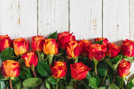 Red and yellow roses on white wooden background. Flat lay, top view, free copy space.の写真素材