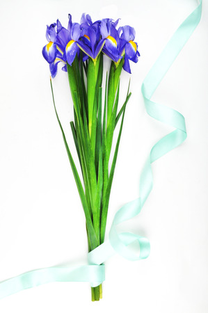 flowers irises, bouquet, March 8の写真素材