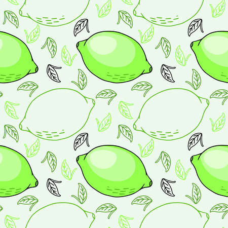 Lime, vector seamless pattern in the style of doodles, hand-drawnのイラスト素材
