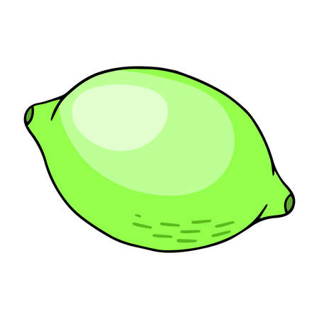 Lime, a doodle-style vector design element isolated on a white backgroundのイラスト素材