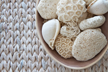 Shells and coral  in a bowl