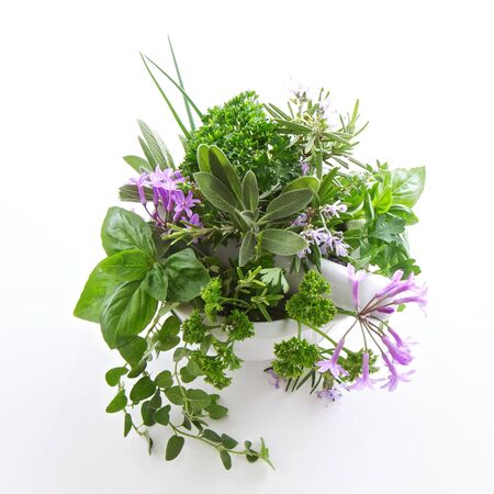 Herbs in a pestal and mortar and isolated on whiteの写真素材