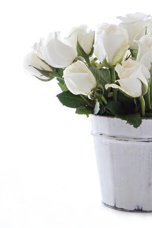 White roses in a wooden contaner and isolated on a white backgroundの写真素材