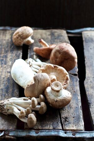Wild mushrooms on rustic woodの写真素材