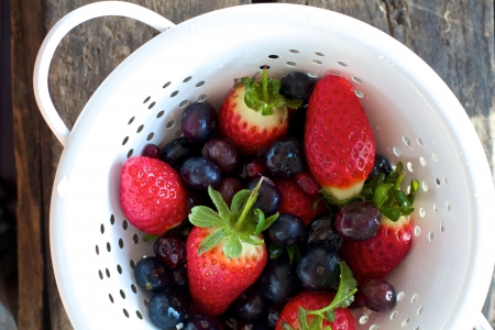 Mixed berries picked fresh from the farmの写真素材