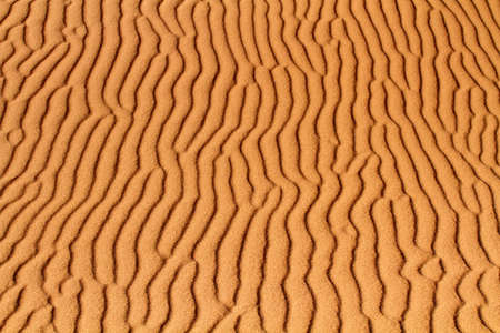 Background of desert  or beach sand with ripple patternの写真素材