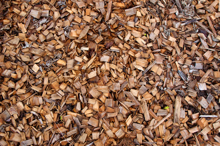 Wood chips for mulch in a garden as a backgroundの写真素材