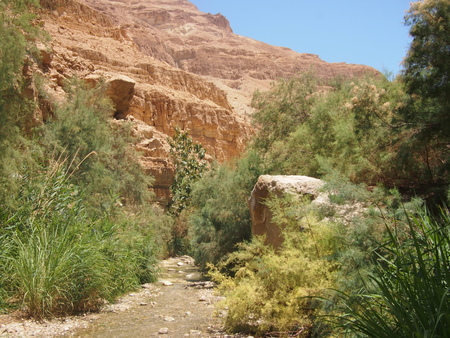 Hiking in Ein Gedi in Israel is one the lowest, and hottest locations on the planet. The cool springs and waterfall provide the green contrast to the dry cliffs.の写真素材