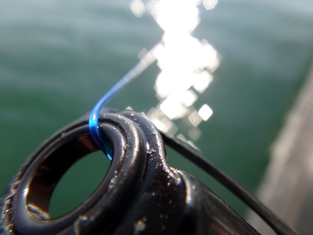 Top of fishing rod, sea fishingの写真素材