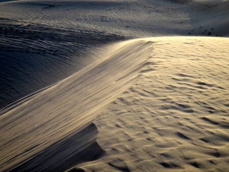 Sand dune in desert with windの写真素材