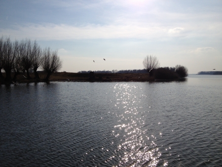 Nature view on water with trees and birdsの写真素材