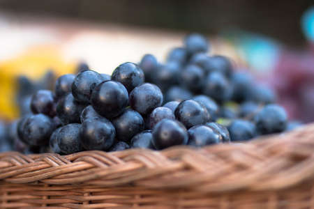 grapesの写真素材