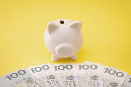 Savings - Inflation - Polish currency PLNの写真素材