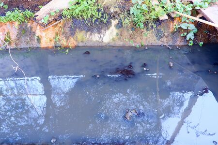 Concept of environmental protection, water emitted from industrial zonesの写真素材