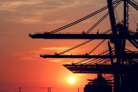 Container ship With cranes for loading goods in the dockの写真素材