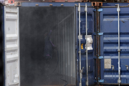 Employees clean the utensils for reuse.のeditorial素材