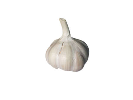 garlic on white background easy to useの写真素材